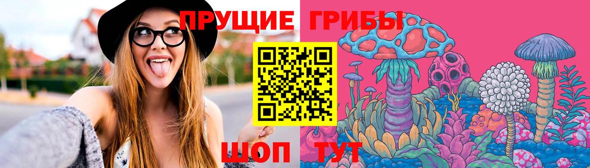 Ейск  где купить наркоту  Вход с VPN  Галлюциногенные грибы Cubensis 